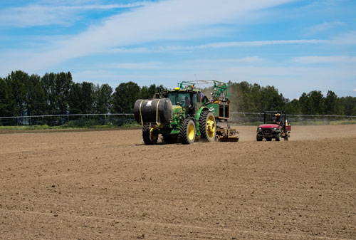 industrial hemp in Michigan